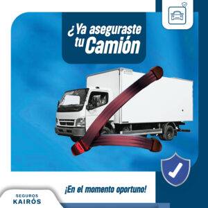 3. Camion