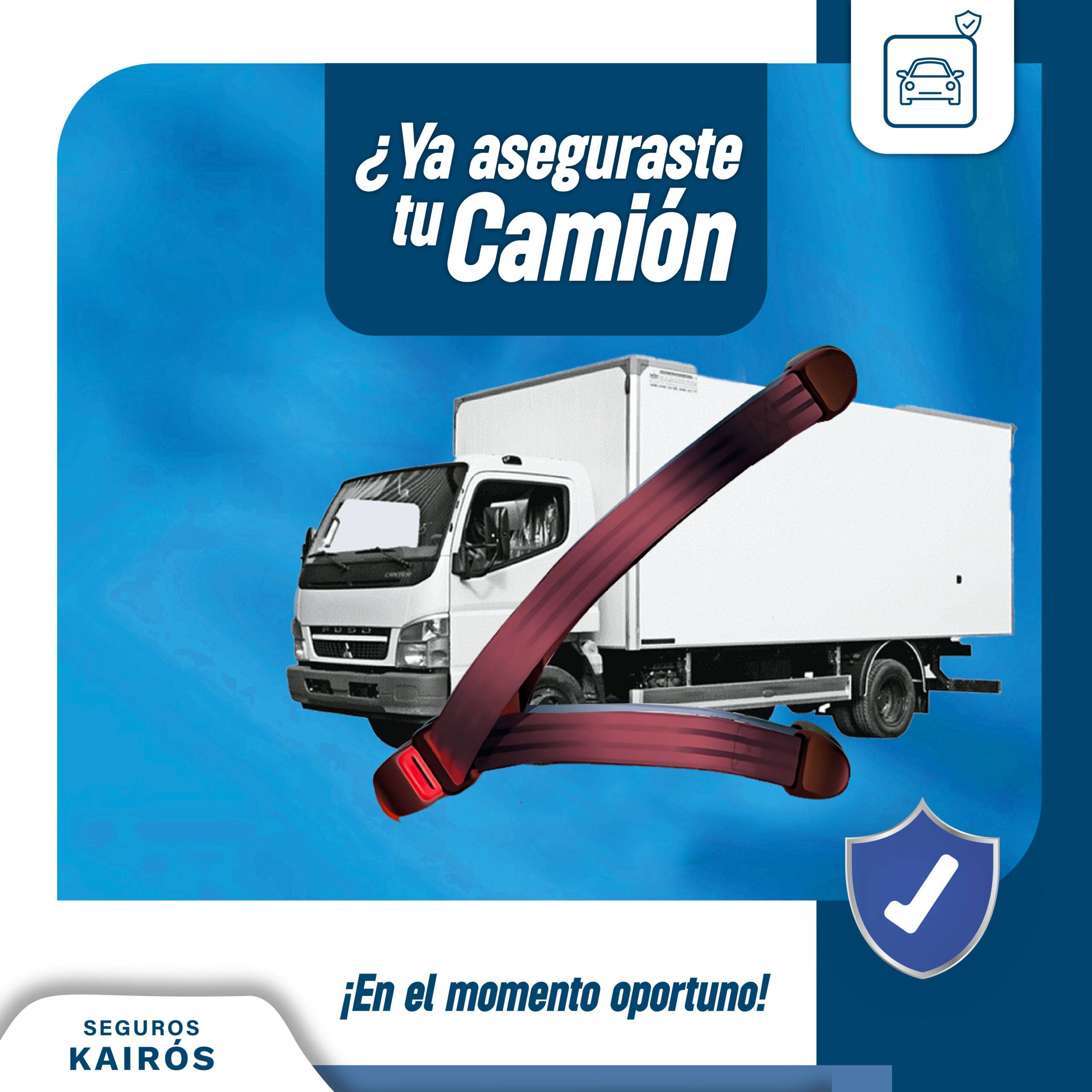 3. Camion